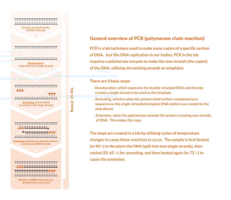 graphic for research blog post-01-1